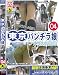 東京パンチラ娘04 [DVD]