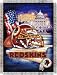 Washington Redskins - NFL Home Field Advantage 48x 60 Tapestry Throw - 48x60