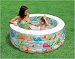 60" x 22" Aquarium Pool