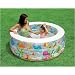 60" x 22" Aquarium Pool