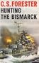 Hunting the Bismarck