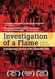 Investigation of a Flame