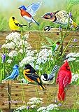 Buffalo Games Large Piece Family: Songbird Menagerie - 300 Piece Jigsaw Puzzle by Buffalo Games