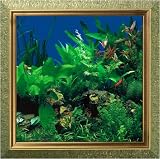 AquaVista AV500SBAAQ Wall-Mounted Aquarium AV 500 Seaweed Background with Aquarius Frame
