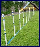 Dog Agility Stick in the Ground Outdoor Weave Poles - Set of 12
