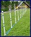 Pet Supplies : Weave Poles - Stick in the Ground - Set of 12