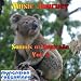 Daybreak Awakening en Descargas MP3 con el nombre: 61eNUDQzTEL._SL75_
