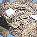 Sequin Gold Brown Snakeskin Reptile Print Pattern Rectangle 1.5 inches Couture Loose Paillette Sequins