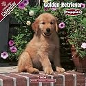 2009 Golden Retriever Puppies Wall Calendar