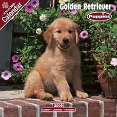 2009 Golden Retriever Puppies Wall Calendar