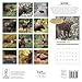 Moose 2016 Calendar
