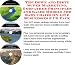 Search : The Down and Dirty Super Marketing, Godfather Principles and Sales Models for Baby Chairs On-line Businesses 3 CD Pack