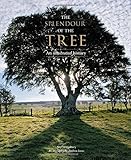 The splendour of the tree : an illustrated history