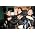 Miniaturansicht von 30 Seconds to Mars