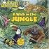 Animal Explorers: A Walk in the Jungle (Animal Explorers)