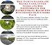 Book The Guru's Generate Extra Cash, Inner Game and Biz Networking for Racquetball Racquets Businesses 3 CD Combo Pack