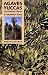 Agaves, Yuccas, and Related Plants: A Gardener's Guide