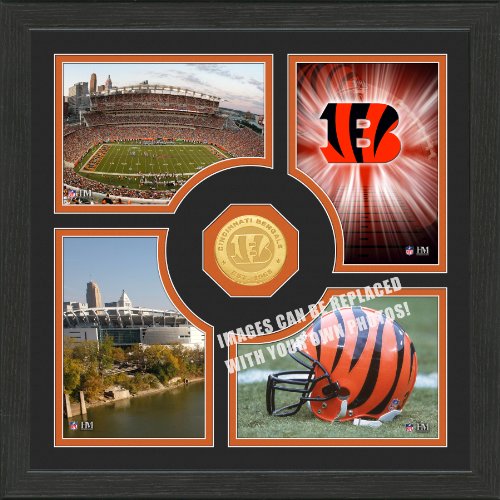 NFL Cincinnati Bengals 