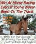 Win At Horse Racing Even If You've Never Been To The Track
