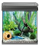 Tetra 151536 AquaArt Crayfish Aquariu...