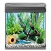 Tetra 151536 AquaArt Crayfish Aquarium-Komplett-Set 30 L, f�r Krebse und Garnelen mit innovativer Technik und einfacher Pflege