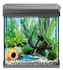 Tetra Aquarium Aquaart Anthracite 30 L: Animalerie