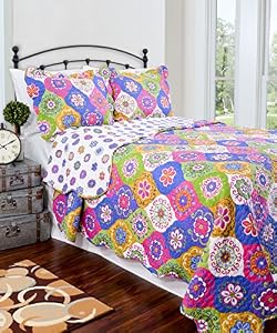 Quilt Set - Vintage Collection - Machine Washable - Satisfaction Guaranteed (Queen)