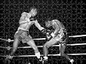 Prints of Boxing Randolph Turpin from Mirror Photos