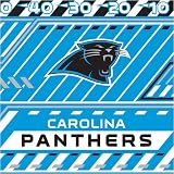 Carolina Panthers NFL Book Cover