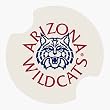 University of Arizona Carsters - Coasters for Your Car