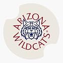 Carsters - University of Arizona - Coasters for Your Car