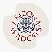University of Arizona Carsters - Coasters for Your Car