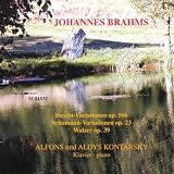 Brahms: Variations & Waltzes
