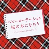 ポニーテールとシュシュ