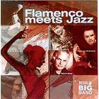 Ndr 2 Big Band-Flamenco Meets Jazz by Thomas Hickstein