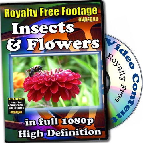 Insects And Flowers - Royalty Free Video Footage High Definition Collection, Academic License