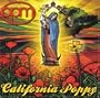 California Poppy