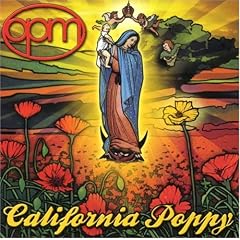 California Poppy by  OPM 