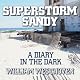 Superstorm Sandy: A Diary in the Dark