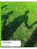 Attachment : sociology and social worlds