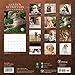 2015 Golden Retrievers Wall Calendar