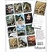 2016 Yoga Deluxe Wall Calendar