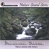 Mountain Stream