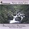 Mountain Stream