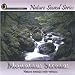 Mountain Stream (Natural Sounds Only)