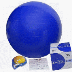 75cm Exercise Ball