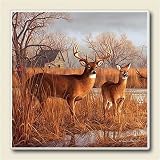 AbsorbaStone Coaster set~ Our Side of the River Deer ~4 Tile Drink Coasters ~ code 289