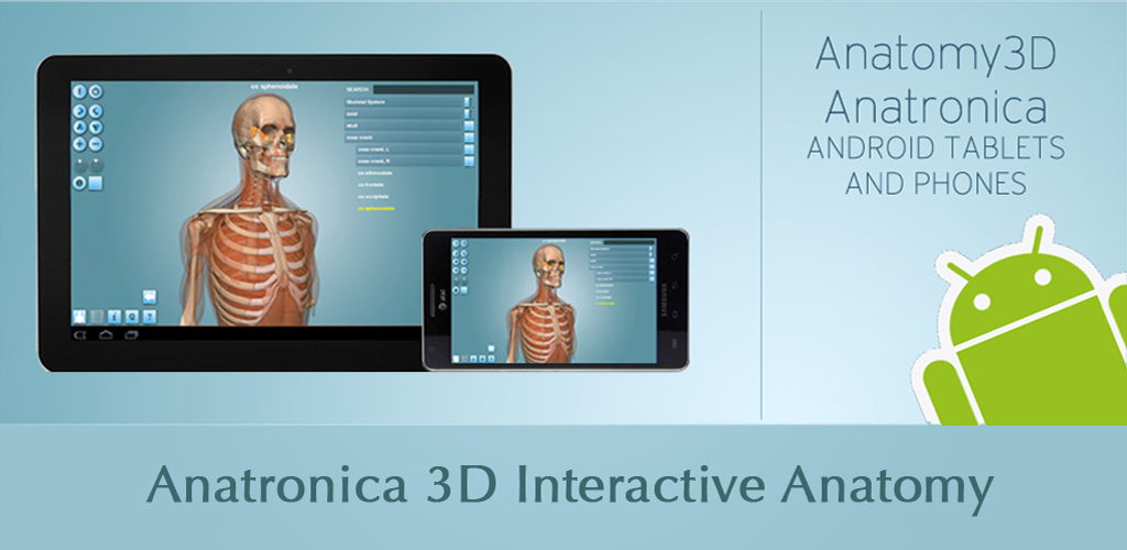 Amazon.com: Anatomy 3D - Anatronica: Appstore for Android