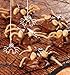 Noodlemania!: 50 Playful Pasta Recipes