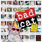 Bad Cat Wall Calendar 2010 by CC Workman Publishing